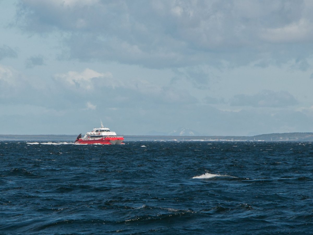 catamaran fiordos del sur