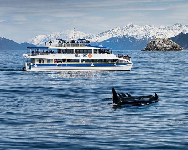 Thumb Cove State Marine Park (Seward, AK): Address, Phone Number ...