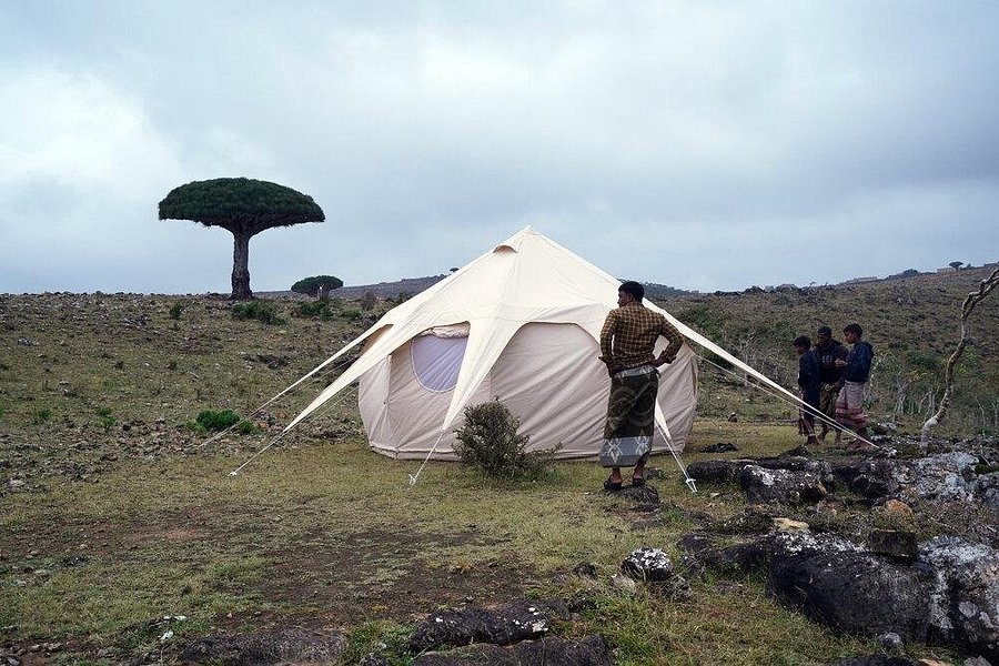 Engage Socotra image