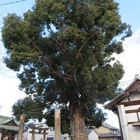 境内にあります