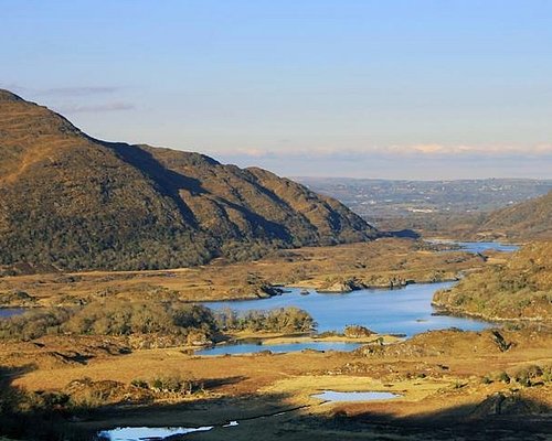 bus tours from belfast to killarney prices