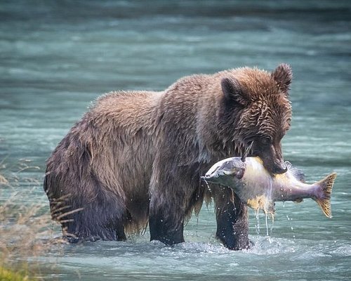 best photography tours alaska