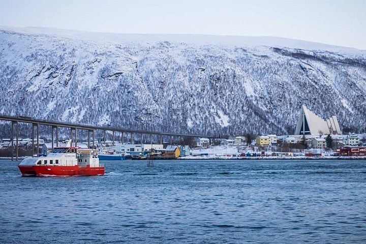 tromso blue day tour