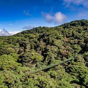 Es barato Mal Democracia Tripadvisor | Recorrido por los puentes colgantes de Selvatura Park en  Monteverde ofrecido por Parque Selvatura | Costa Rica