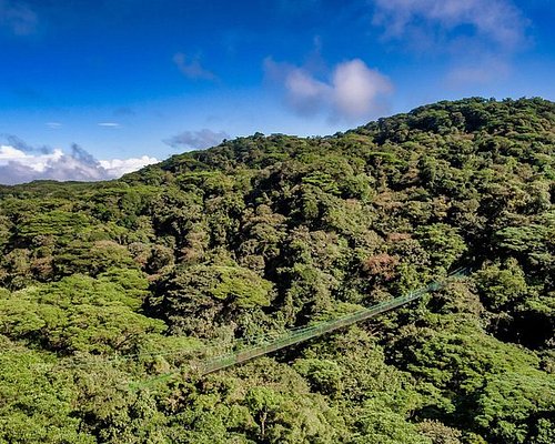 Tourist arriving to platform on a canopy cable ride, Monteverde, Santa  Elena, Costa Rica, Central America Stock Photo - Alamy