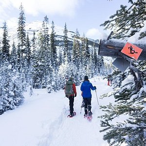 brooks alberta tourism