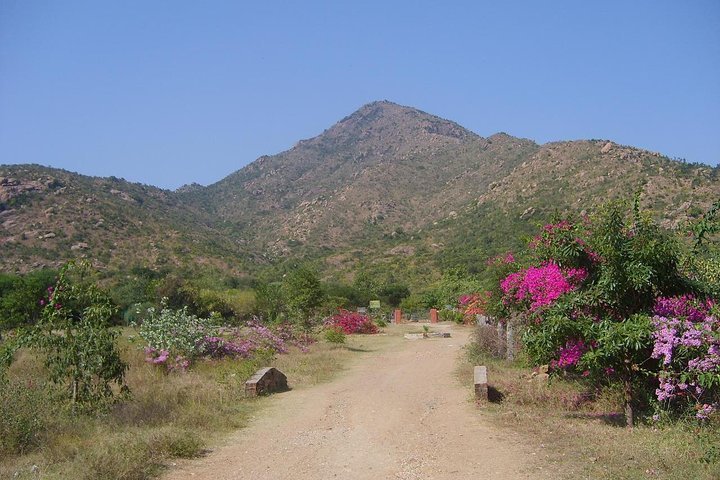 2024 Tiru Arunachala Tours - Tiruvannamalai Tour Guide