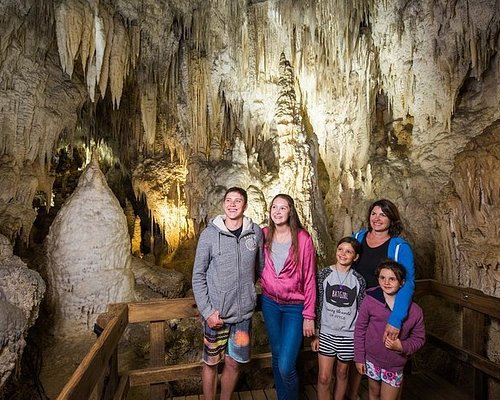 waitomo caves walking tour