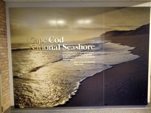 Cape Cod Kmcoyle review images