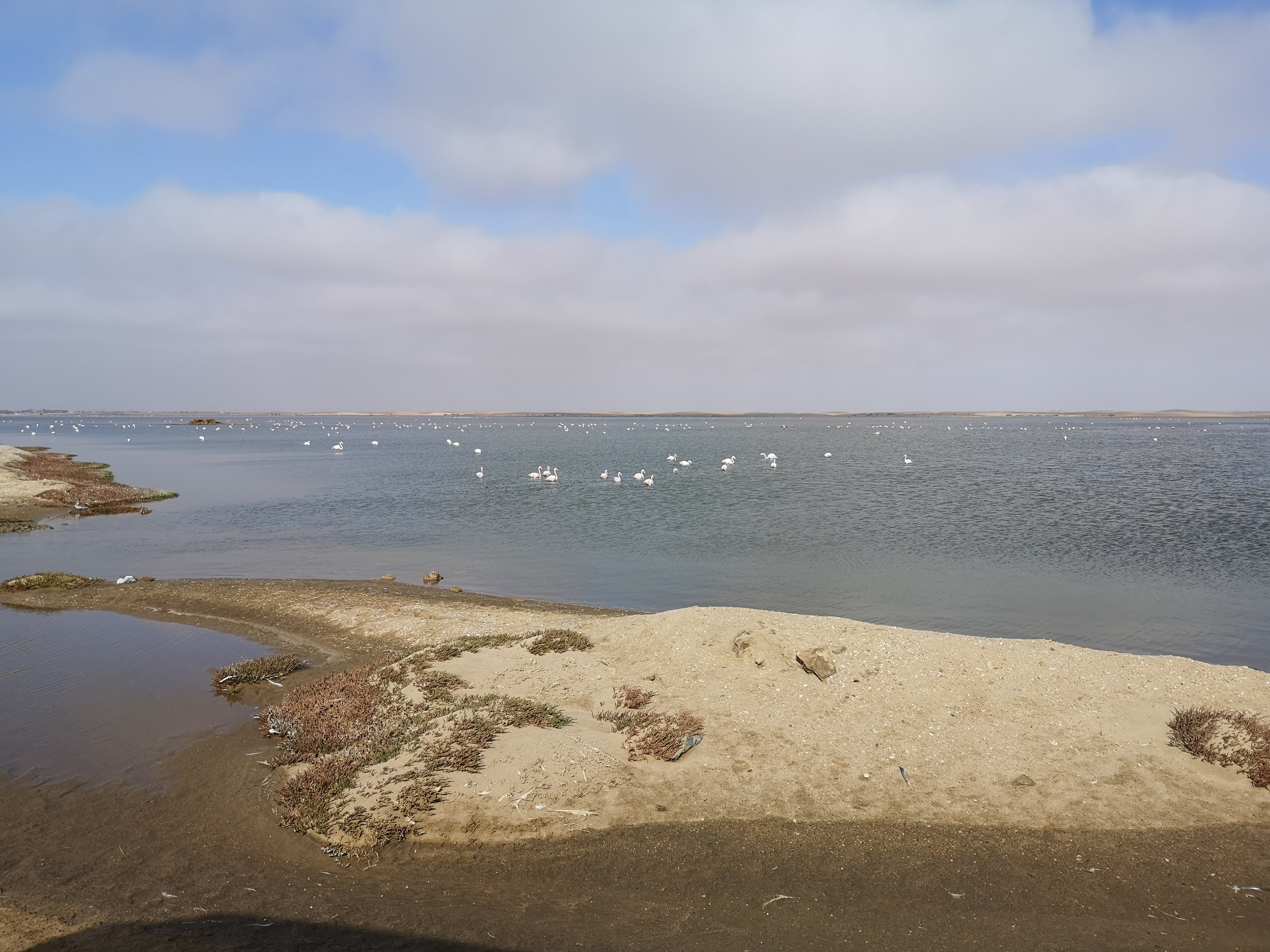 THE 10 BEST Things To Do In Walvis Bay - 2021 (with Photos) - Tripadvisor