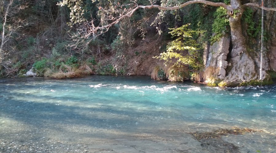 Relaxing by the river