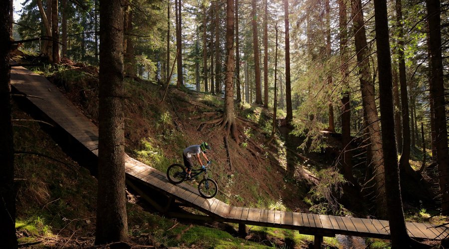 Rogla Bike Park