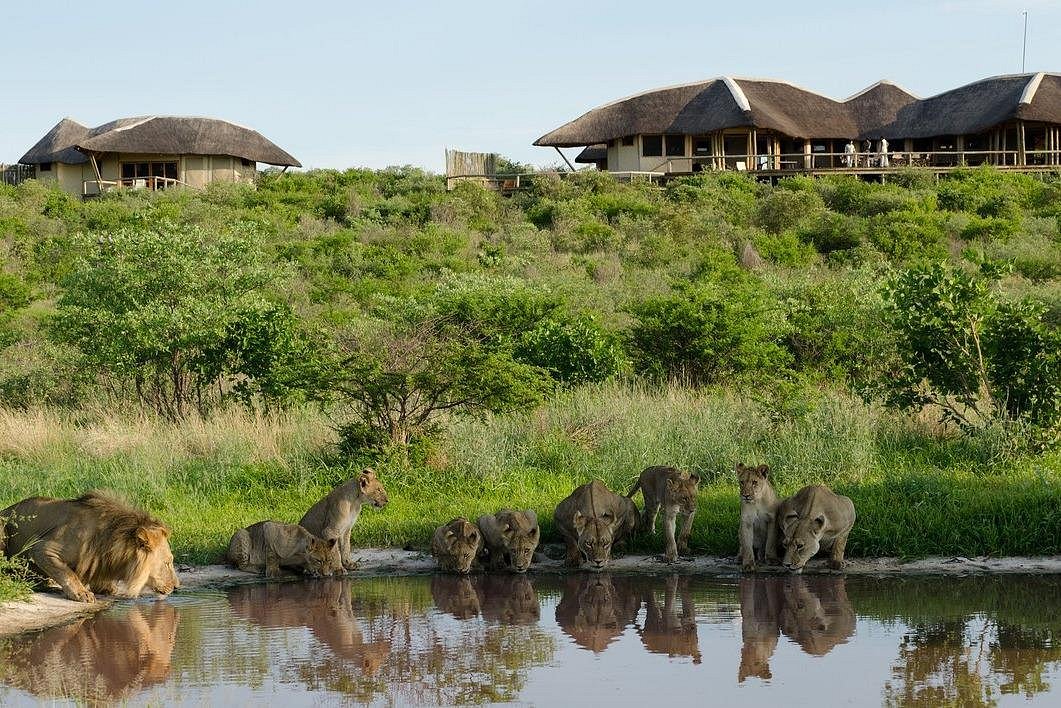 safari gaborone botswana