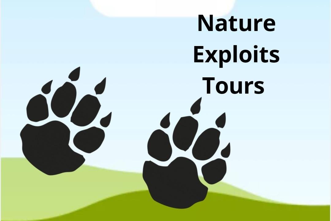 Nature exploits tours (Nelspruit) - Lohnt es sich? Aktuell für 2024