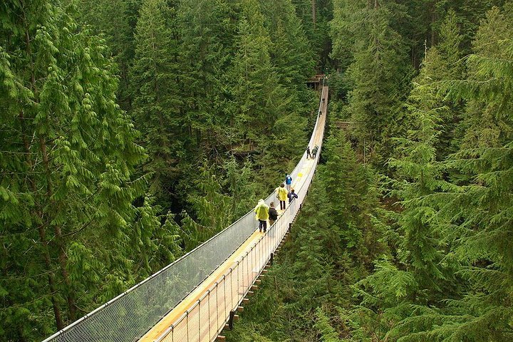 Capilano Suspension Bridge Vancouver BC