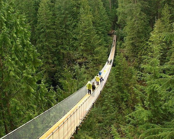 CAPILANO SUSPENSION BRIDGE PARK (North Vancouver) - 2022 What to Know ...