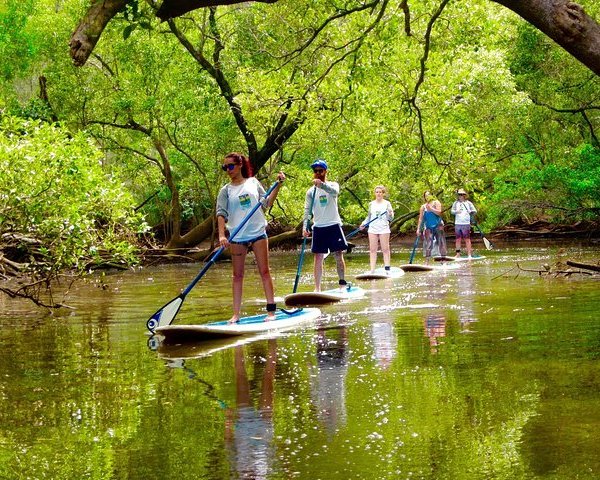 Tyagarah Nature Reserve: All You Need to Know BEFORE You Go