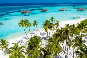 Gili Lankanfushi in Lankanfushi, image may contain: Summer, Land, Nature, Sea