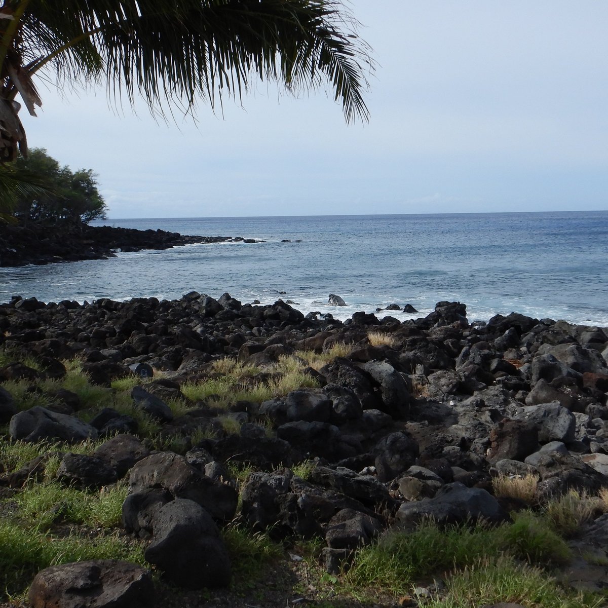 Kapa’a Beach Park - All You Need To Know Before You Go (2024)