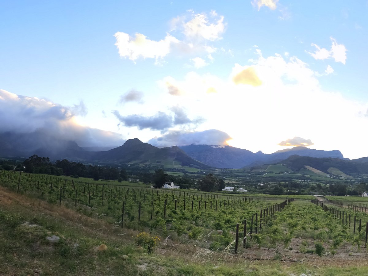 franschhoek vineyard tour