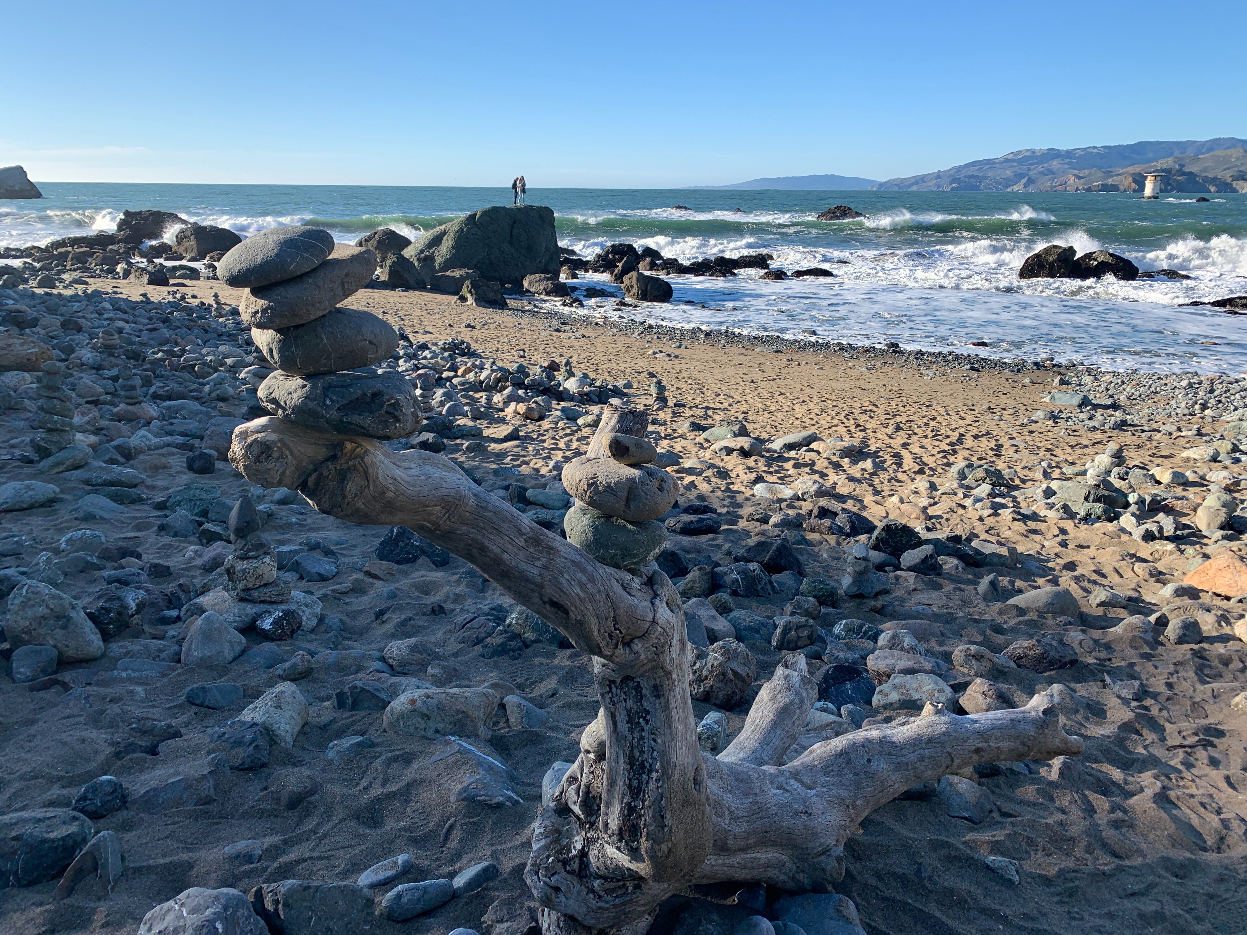 Driftwood from hotsell Ocean beach San Fran