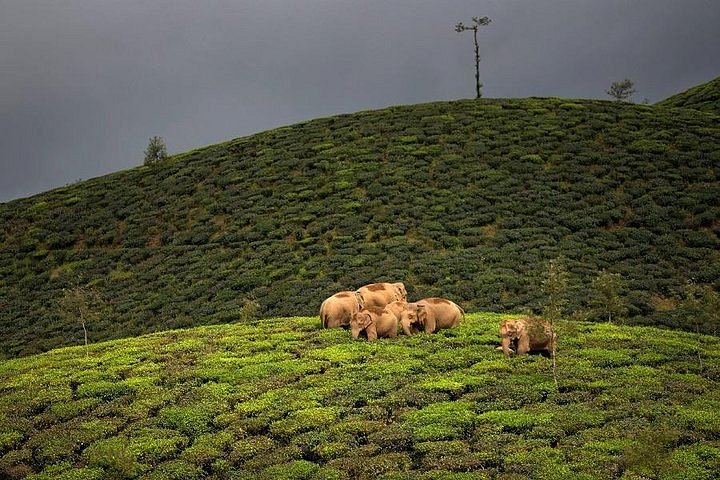 valparai 2 days trip