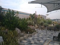 Changi Airport Terminal 1: Outdoor Rooftop Cactus Garden - LEPL