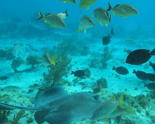 georgetown grand cayman shore excursions