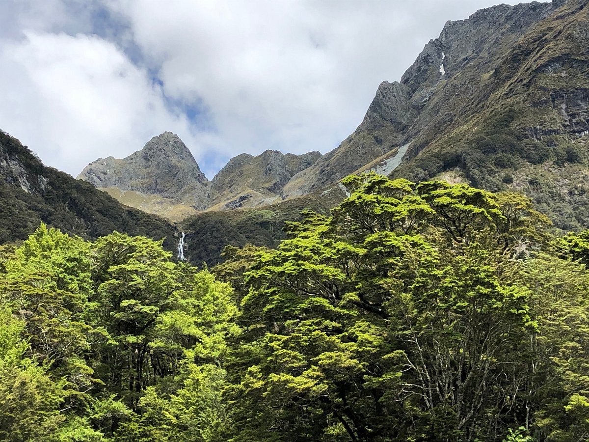 routeburn track day trip