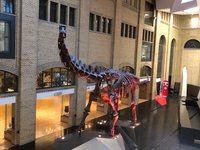 Royal Ontario Museum (The ROM) Reviews