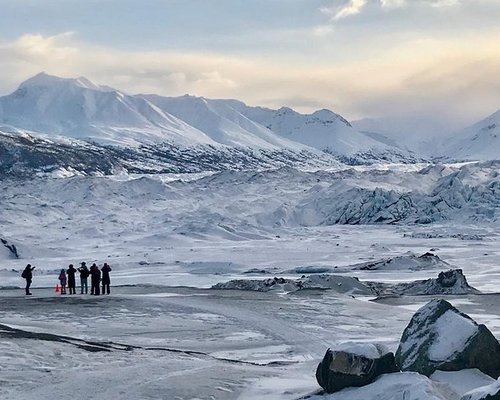 se permiten perros en el desierto del pico glaciar