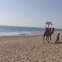 MADHAVPUR BEACH (Porbandar) - All You Need to Know BEFORE You Go