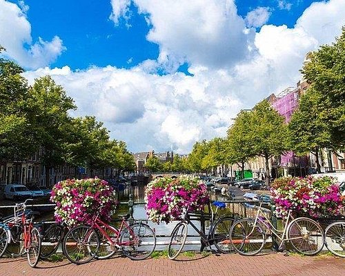 tours from brussels to amsterdam