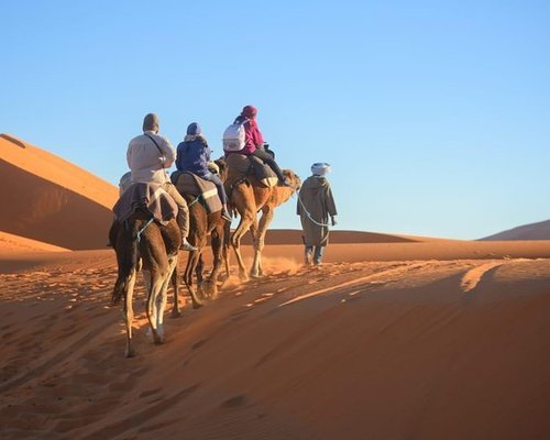 Berber Camp Merzouga (Fes) - All You Need to Know BEFORE You Go