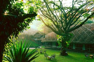 Spice Village, CGH Earth in Kumily, image may contain: Garden, Grass, Backyard, Vegetation