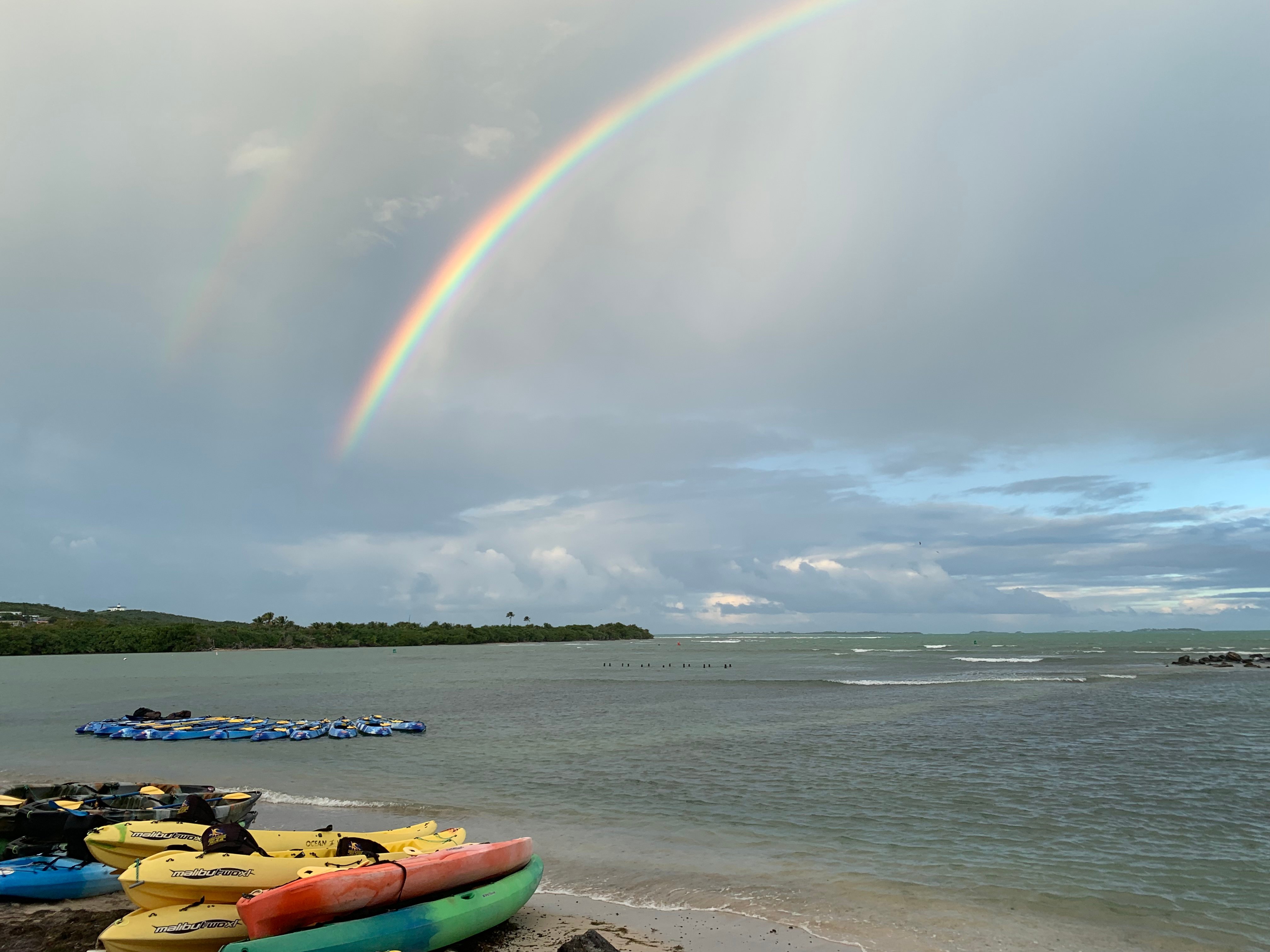 PUERTO RICO ACCESS TOURS (2024) All You Need To Know BEFORE You Go ...