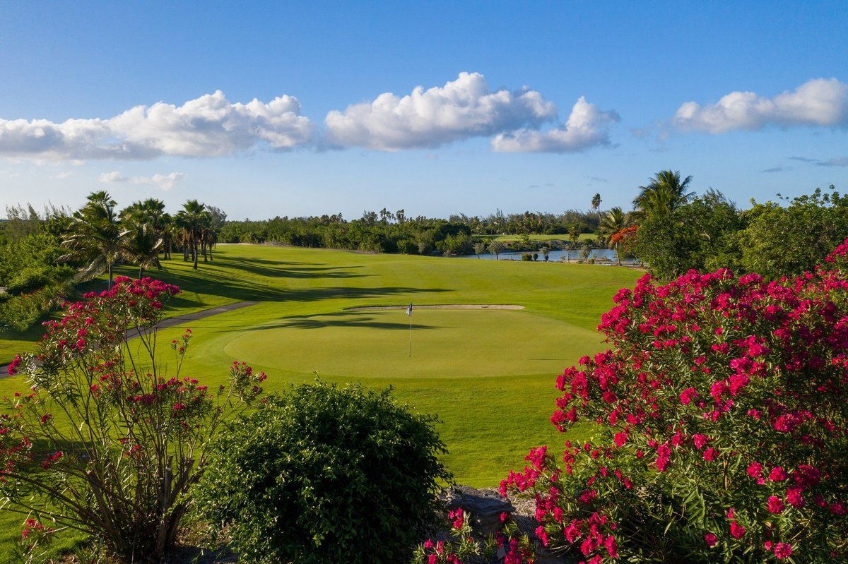 Royal Turks and Caicos Golf Club (Providenciales) All You Need to