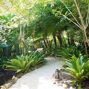 QUEEN ELIZABETH II BOTANIC PARK (Grand Cayman) - 2023 What to Know ...