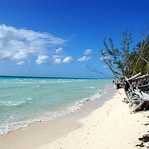 freeport bahamas tourism