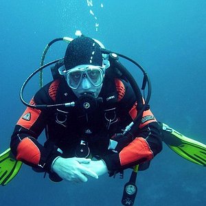 Tripadvisor Decouverte De La Plongee Sous Marine A Montego Bay Propose Par Dressel Divers Saint James Parish Tripadvisor Decouverte De La Plongee Sous Marine A Montego Bay Propose Par Dressel Divers Saint James Parish