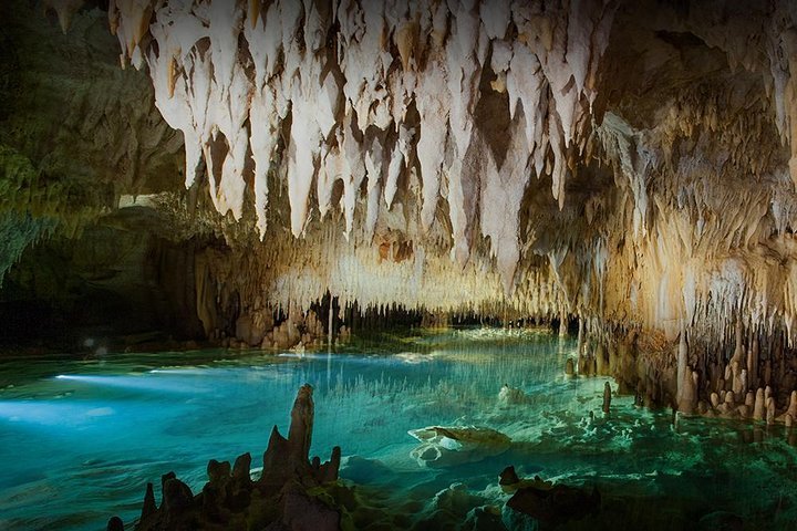 THE 10 BEST Grand Cayman Tours Excursions 2024 From 12   Caption 