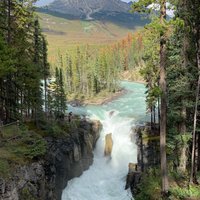 SUNWAPTA FALLS AND CANYON (Jasper National Park) - What to Know BEFORE ...