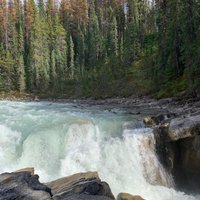 Sunwapta Falls and Canyon (Jasper National Park) - All You Need to Know ...