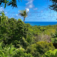 Royal Mount Carmel Falls (grenada) - All You Need To Know Before You Go