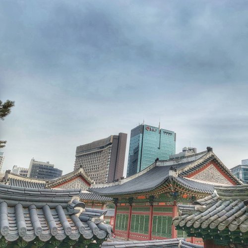 Seoul Kat review images