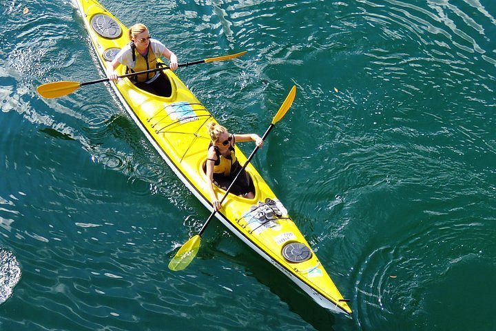 Self-Guided Sydney Middle Harbour Kayak 3 Hour Tour by Double Kayak