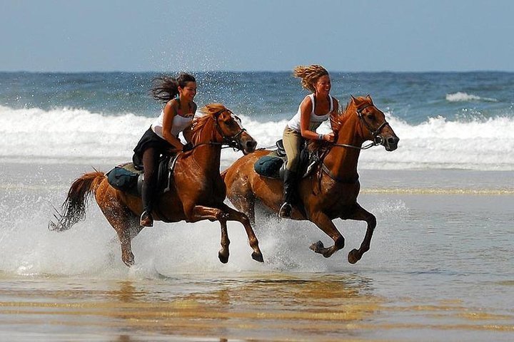 2024 Horse Riding Agadir provided by Agadir Fun - Tripadvisor