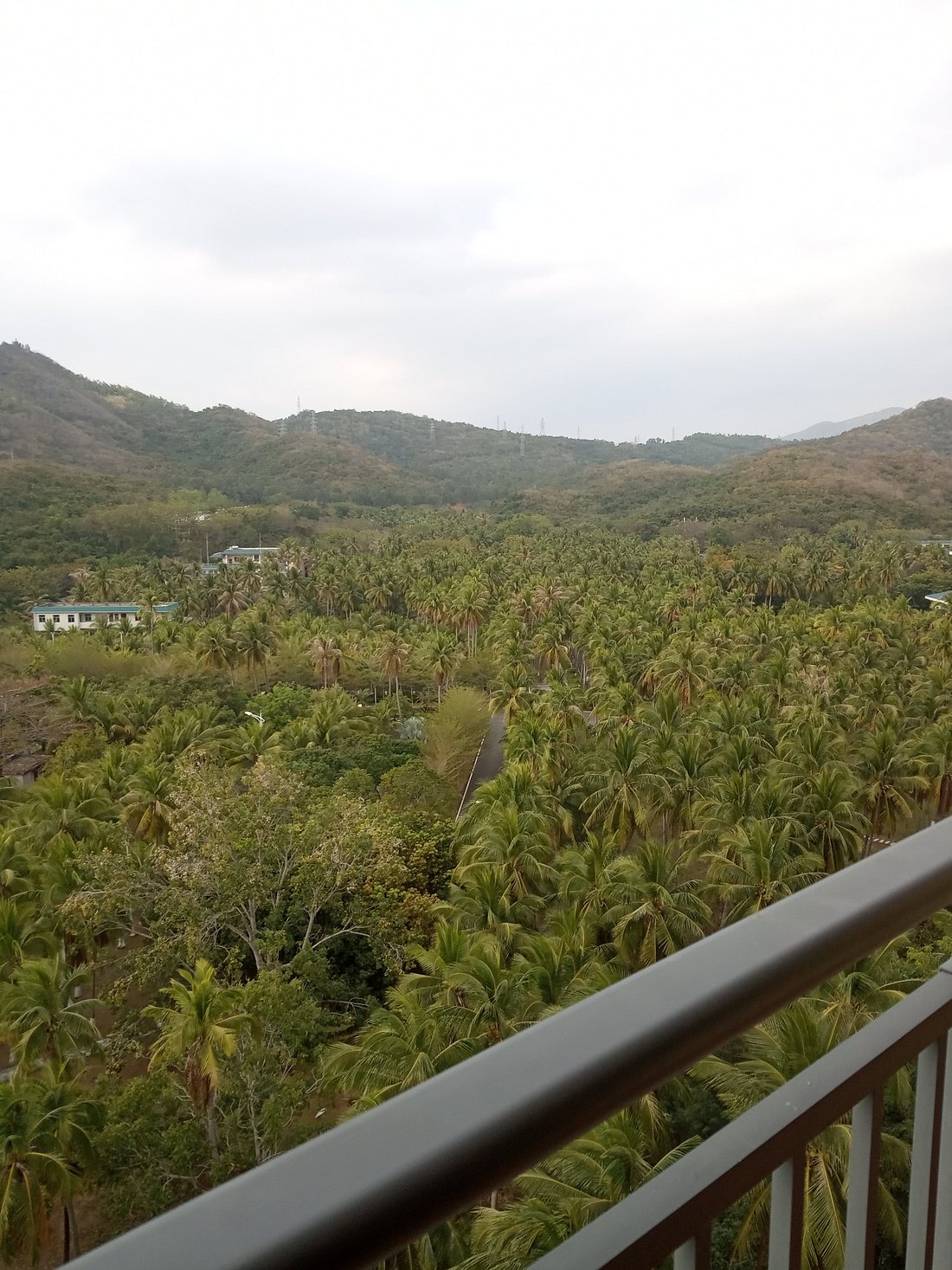 Sanya seashore. Gentle grown Sanya Seashore 4.