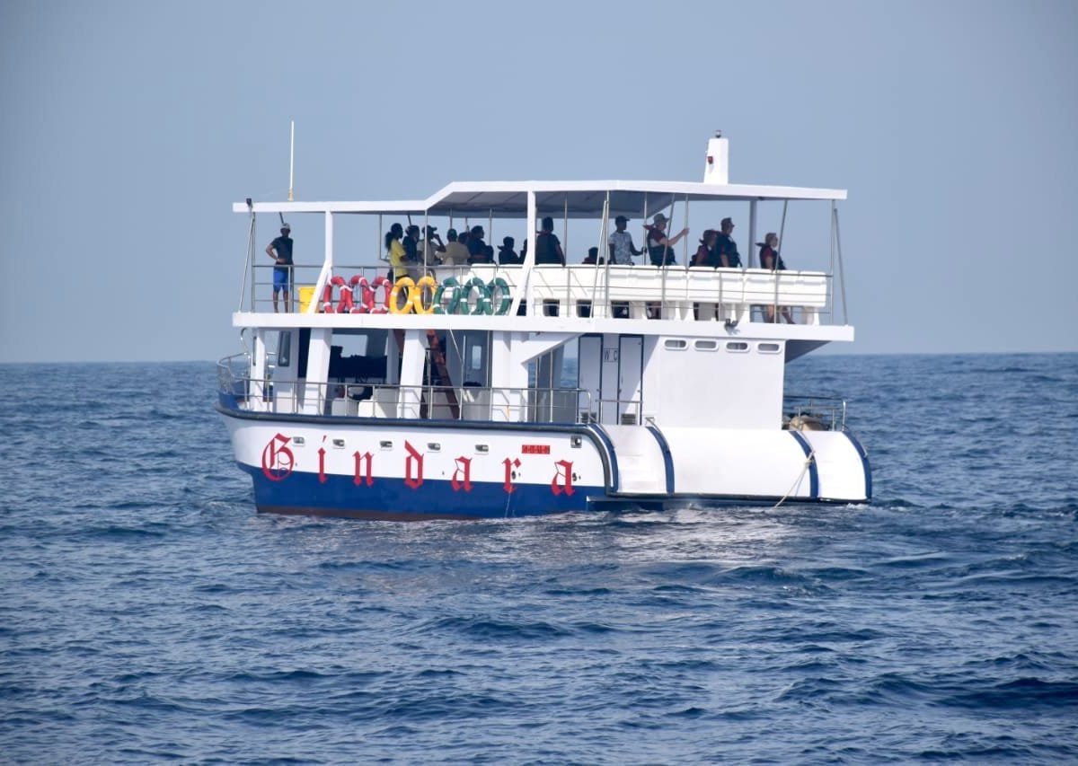 Whale Watching Mirissa with Geeth, Мирисса: лучшие советы перед посещением  - Tripadvisor