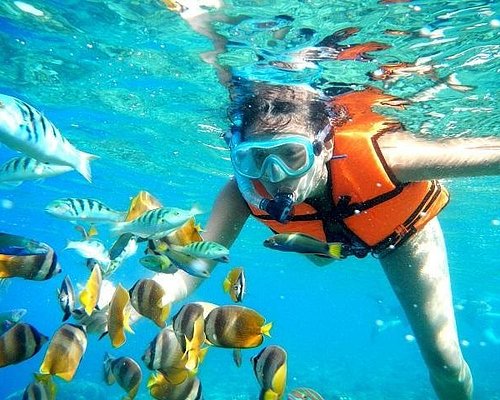 cancun family excursions